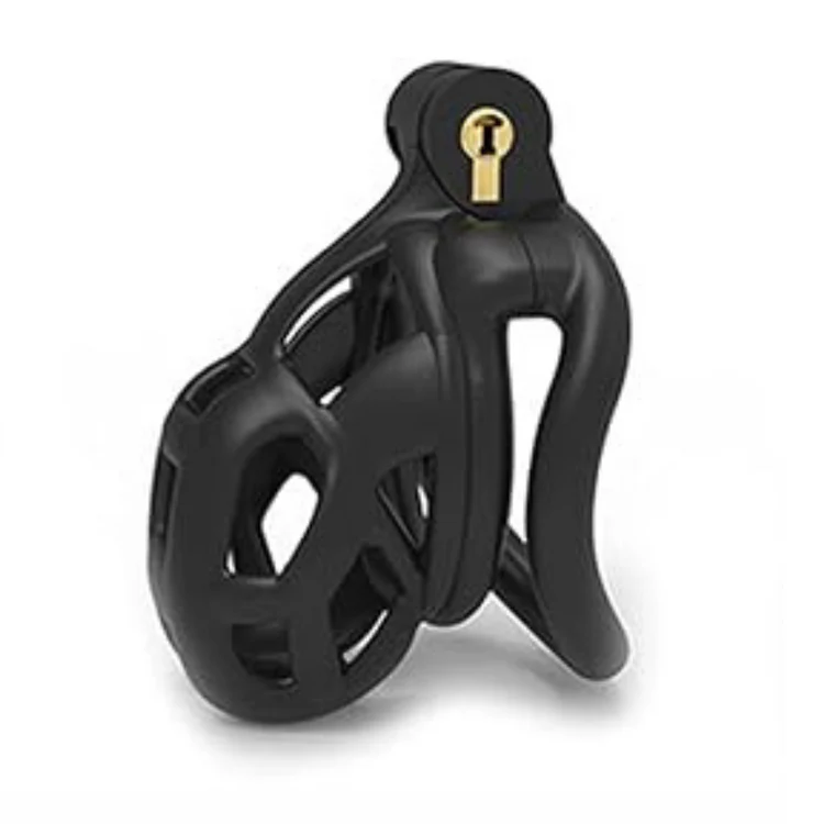 Men Control Penis Lock - Image 2