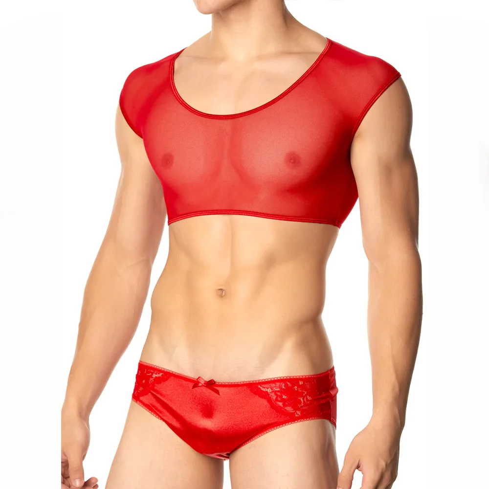 Sexy Mesh Bra and Panty for Men - Image 3